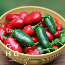 Load image into Gallery viewer, Jalapeño Hot Pepper Hydroponic Seeds
