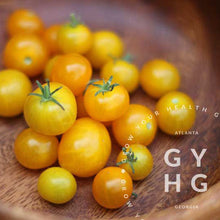 Load image into Gallery viewer, Pinocchio Yellow Microdwarf Cherry Tomato Hydroponic Adapted Seed for Sale 
