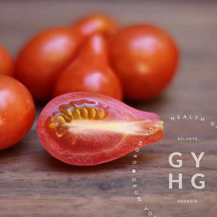 Red Fig Pear Cherry Tomato Hydroponic - adapted seed