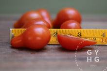 Load image into Gallery viewer, Visual reference for size comparison of Red Fig Pear Cherry Tomato
