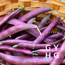 Load image into Gallery viewer, Red Swan Hydroponic-Adapted Bush Beans
