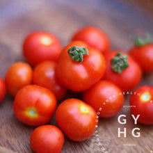 Load image into Gallery viewer, Tom Thumb Microdwarf Cherry Tomatoes for hydroponic Aerogarden and Tower Garden
